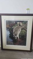 Full framed print showing raccoon drinking water in natural setting
