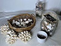 Wicker basket filled with various shells and coral pieces surrounded by four large white coral pieces. Also includes clear glass containers and a small ceramic dish visible.