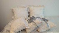Two 15" x 15" decorative embroidered pillows with ruffled edges visible on a white surface.