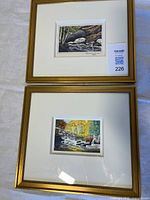 Both framed watercolours front view