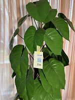 Upper portion of artificial pothos showing leaf detail