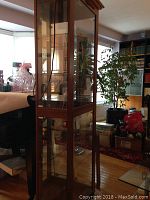 Full view of tall wood and glass curio cabinet in room setting showing front glass panel and interior shelves.