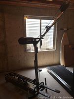 Full side view of NordicTrack Pro ski machine showing wooden frame and handlebars by window.
