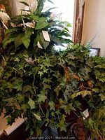 View of the leafy artificial plants including artificial ivy with dense green leaves and peace lily-like plant with large leaves.