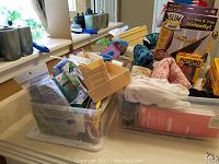 Assorted toiletries, first aid supplies, and boxed health products including Futuro brand supports in clear plastic bins on white surface near window.