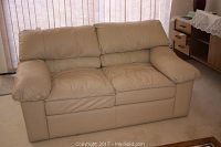 Frontal view of leather loveseat showing two cushioned seat and armrests in vanilla tone.