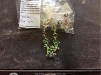 Photo showing close-up of a necklace with green floral design and matching earrings packaged in a plastic bag.