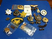 Full lot of assorted military badges and insignia displayed against blue background.