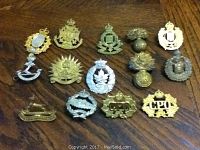 Full view of the 14 assorted Canadian military badges arrayed on wood surface.