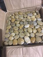 Open box showing one mosaic sheet with smooth oval yellow/beige river stones mounted on mesh backing