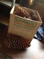 Box containing 5 large natural pine cones, showing rough bark texture and brown color.