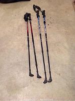 Four hiking poles on floor; includes two maroon/red from Expedition, and two blue from Gabel, all adjustable with rubber tips and wrist straps