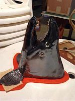 Front side view of the salmon trophy head showing the open mouth, glossy black paint, and the red base around the mount. The broken fin is visible.