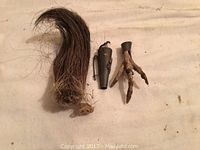 Photo of three components for a Scottish kilt pin: a bundle of horse hair, a metal sterling band, and a partridge foot.