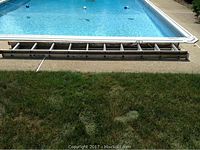 Full length view of the Werner metal ladder placed beside a pool, showing overall length and condition.