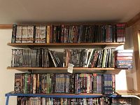 Wide shot of four wooden shelves filled with assorted DVDs