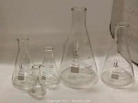 Five glass laboratory flasks of varying sizes arranged in a row: 1000mL, 500mL, 250mL, 150mL, 50mL, clear glass with white volume markings and brand name.