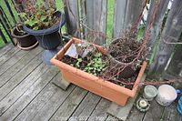 Photo showing a rectangular terracotta plastic planter with soil and dry plants, a black plastic urn-shaped planter, and small ceramic pots including a decorative striped pot and a small cream-colored bowl with soil residue on a wood deck.