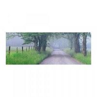 Photo of the wall mural showing a country road lined with trees and greenery under misty conditions.