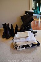 Photo showing six pairs of black ladies boots and booties arranged on carpet with dust bags stacked in front.