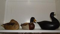 Front view of all three duck decoys on shelf: hen mallard, drake mallard, and black wood duck.
