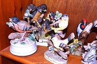Multiple porcelain bird figurines arranged on a wooden shelf showing various bird species perched on branches or flower bases, detailed hand-painted and colorful, some with visible wear.