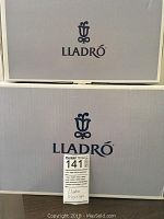 Two stacked Lladró grey boxes bearing the Lladró logo and lot label #141.