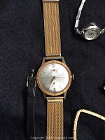 Close-up photo showing a Hamilton ladies wristwatch with a gold-tone mesh band and a silver dial.