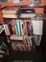 Books arranged on a shelf with a mix of biographies and serial-related books.