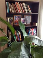 Front view of the wooden bookcase with assorted books and framed photos on shelves, partially obscured by a large green plant.