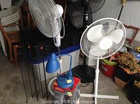 Lot overview showing two adjustable height floor fans (white and black), blue desk lamp, black rack, and boxed Sunbeam heater