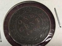 Close-up of front face of 1900 Canada Large One Cent coin in plastic holder showing date and intricate leaf and vine details.