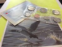 Full view of the coin set sealed with a certificate and decorative card showing a loon in flight
