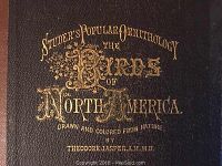 Close-up of front cover showing gilt-stamped title on black pebbled boards with brown leather spine.