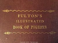 Front cover close-up showing gilt embossed title and decorative borders on burgundy leather