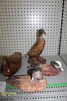 Four wooden duck figures displayed on shelving including two American Widgeon limited edition ducks and two other wooden ducks.
