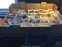 Photo of all 35 small white boxes arranged in a larger cardboard tray containing various rock and mineral samples.