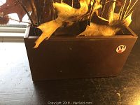 Copper rectangular container with dried grasses, teazle, and leaves arranged inside, shown from side angle near window light.