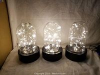 Three tall glass cloches lit with warm white LED string lights inside clear glass domes with black bases.