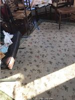 Photo showing floral area rug with beige base and floral designs under furniture.