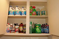 Cabinet shelves with multiple cleaning products including Clorox bleach, Spray Wash, Pine-Sol, Clorox Toilet Duck, Drain Care, Softsoap, Palmolive dish soap, and Finish dishwasher detergent bottles.
