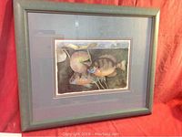 Sage green framed watercolor painting of two fish with aquatic plants and double matting