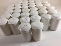 Rows of 38 white bone china salt and pepper shakers shown from the top, arranged in pairs.