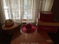 Four hats displayed on table near window with natural light, including tan fedora, pink wide-brimmed hat, and Biltmore box.
