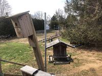 Bird house and bird feeder mounted on tall wooden posts in outdoor yard setting