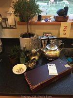 Overall lot on kitchen counter showing plants, vase, silver pieces, dish, and storage box