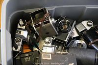 Multiple vintage cameras inside large plastic storage bin, showing various models and vintage designs.