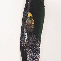 Close-up image showing the detailed painted portrait of a Native American man on the feather.