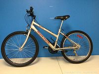 Side profile of SuperCycle 1500 silver gray mountain bike with 24 inch wheels and black tires.