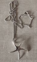 Top view of the star pendant and curb chain laid out, showing size and chain clasp